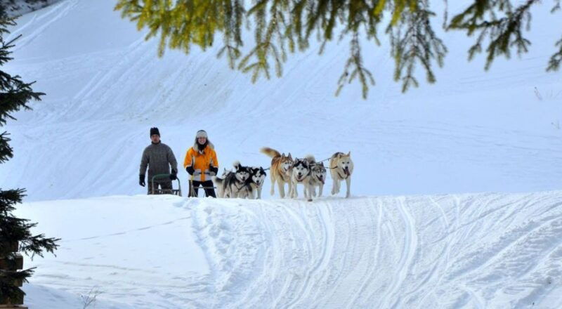 from-krakow-dogsled-ride-in-tatra-mountain