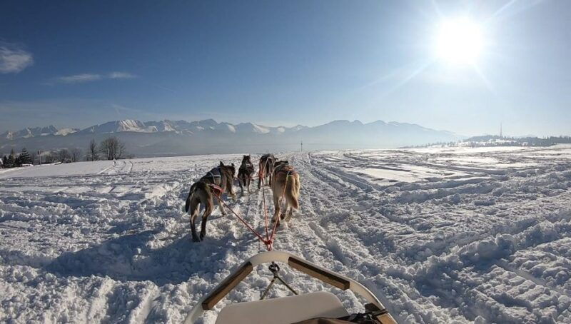 from-krakow-dogsled-ride-in-tatra-mountain