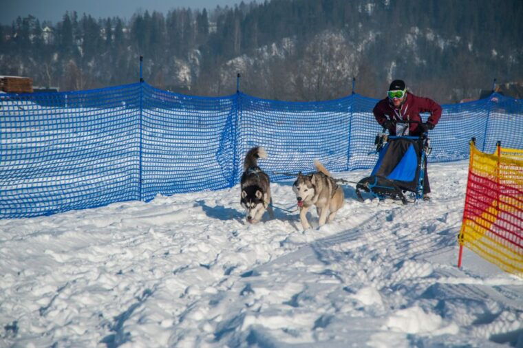 from-krakow-dogsled-ride-in-tatra-mountain