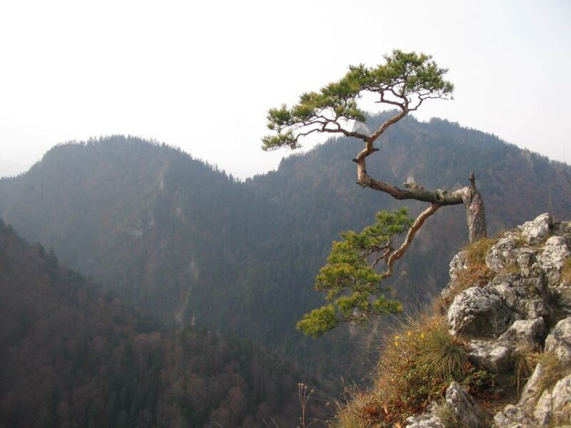 From Krakow: Dunajec Pontoon Rafting Trip - From Krakow: Dunajec Pontoon Rafting Trip — A Scenic Adventure in Lesser Poland