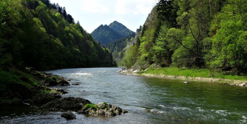 From Krakow: Dunajec Pontoon Rafting Trip - Who Will Love This Tour?
