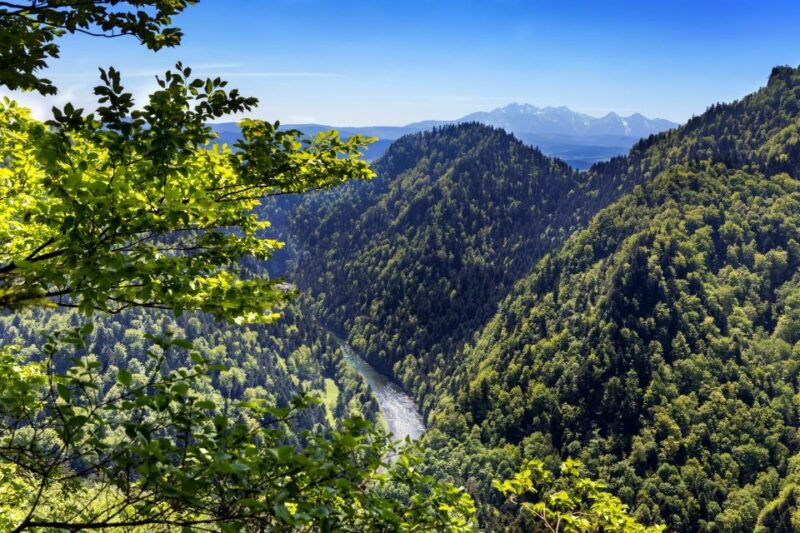 from-krakow-dunajec-wooden-rafting-tour