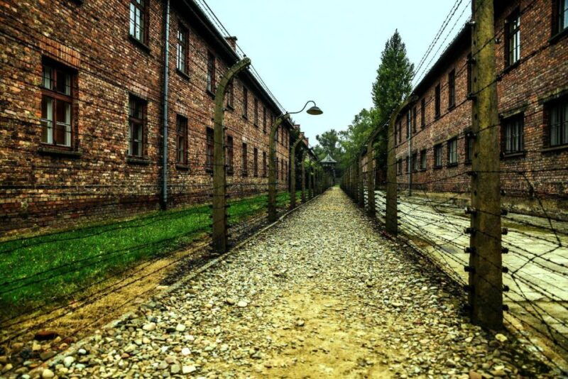 from-krakow-guided-auschwitz-birkenau-group-tour-by-minivan