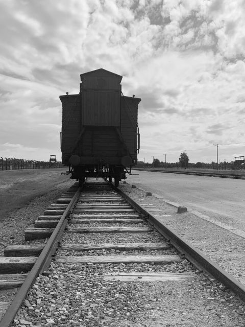 from-krakow-guided-auschwitz-birkenau-group-tour-by-minivan