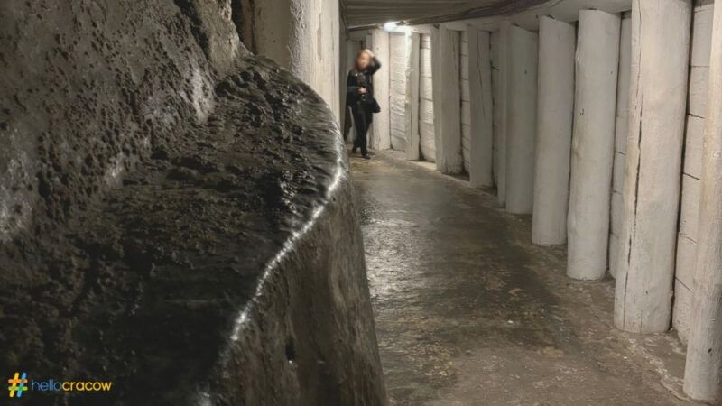 from-krakow-guided-tour-in-wieliczka-salt-mine