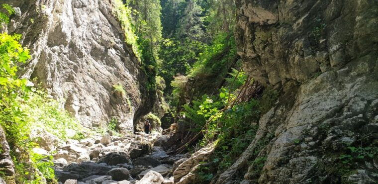 from-krakow-hiking-in-the-tatra-mountains-and-thermal-baths