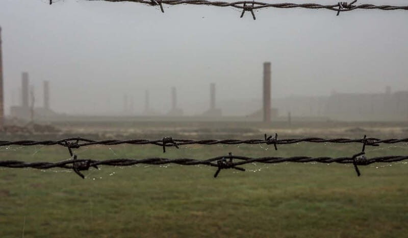 From Krakow: Last Minute Auschwitz-Birkenau Guided Tour - Pricing and Value