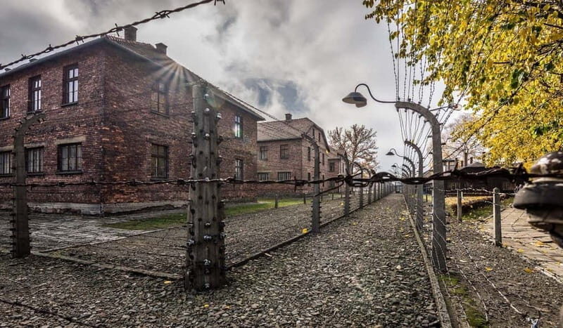 From Krakow: Last Minute Auschwitz-Birkenau Guided Tour - Who Is This Tour Best For?