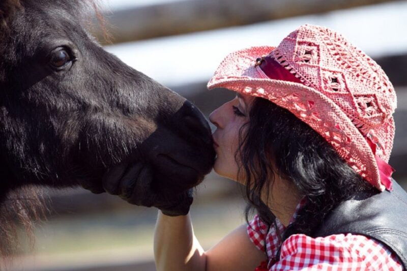 from-krakow-one-day-in-the-countryside