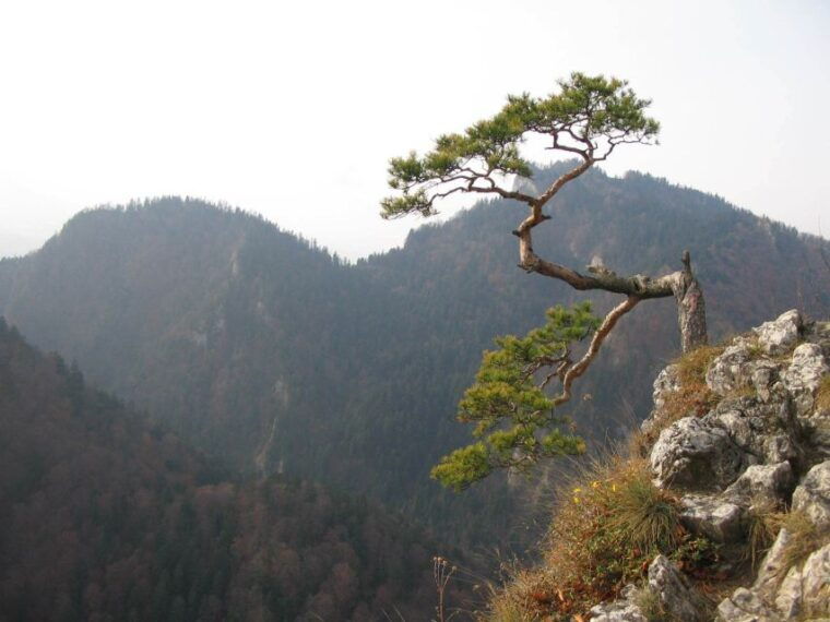 from-krakow-pontoon-rafting-and-thermal-baths-experience