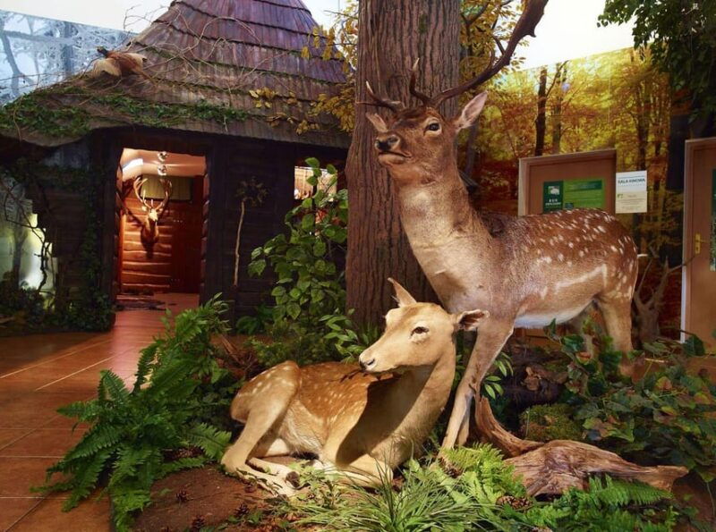 from-krakow-pszczyna-castle-and-bison-reserve-day-trip