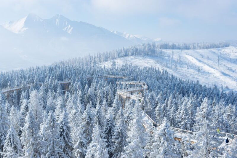 from-krakow-slovakia-treetop-walk-4-hour-ski-pass