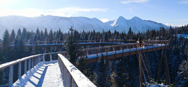 from-krakow-slovakia-treetop-walk-4-hour-ski-pass