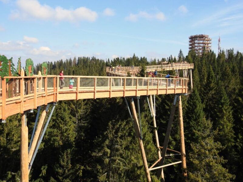 from-krakow-slovakia-treetop-walk-and-thermal-baths-2