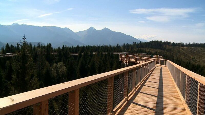 from-krakow-slovakia-treetop-walk-and-tour-of-zakopane