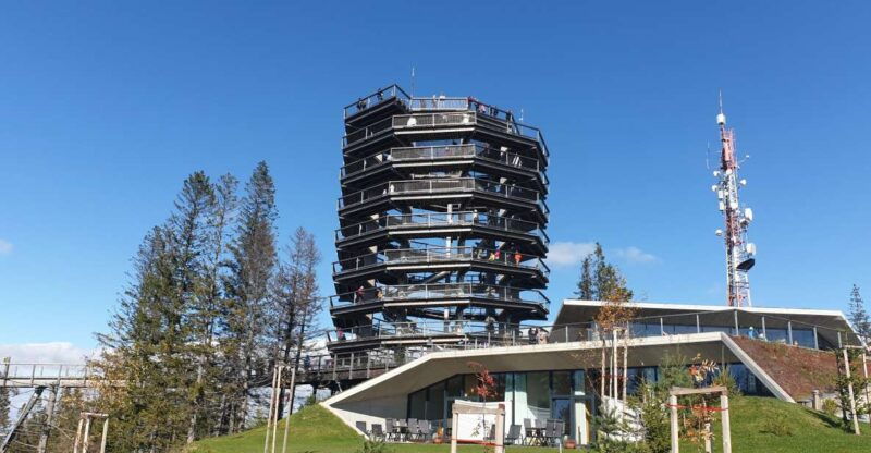 from-krakow-slovakia-treetop-walk-and-zakopane-tour