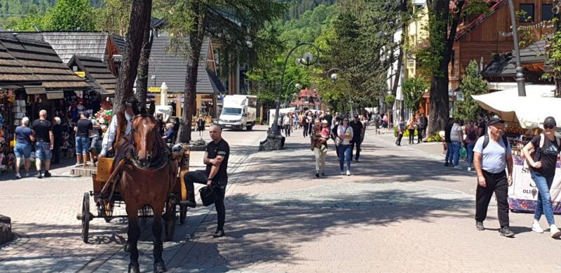from-krakow-slovakia-treetop-walk-and-zakopane-tour