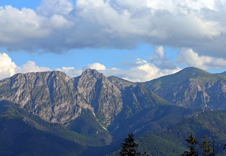 from-krakow-slovakia-treetop-walk-and-zakopane-tour