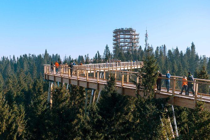 From Kraków: Slovakia Treetop Walk Bachledka and Zakopane - Real Travelers’ Insights