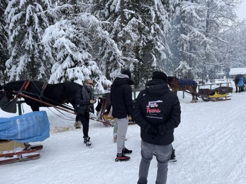 from-krakow-snowmobile-thermal-baths-chocholow-zakopane