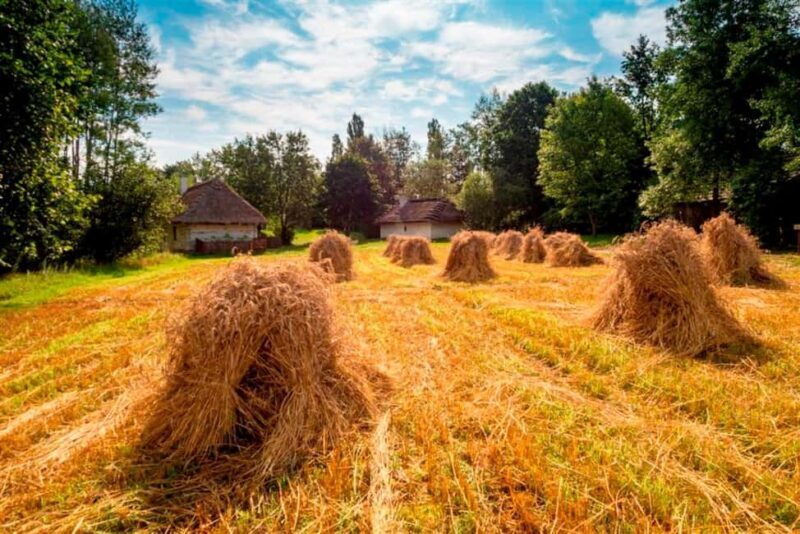 From Krakow: Tokarnia Ethnographic Park  Private Day Trip - The Journey from Krakow