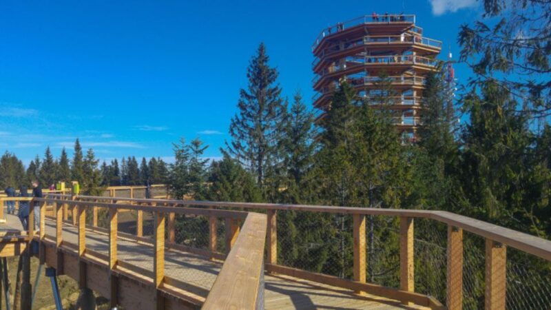 from-krakow-treetop-walk-in-slovakia-and-thermal-baths-tour