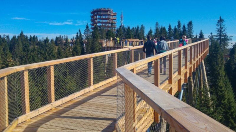 from-krakow-treetop-walk-in-slovakia-and-thermal-baths-tour