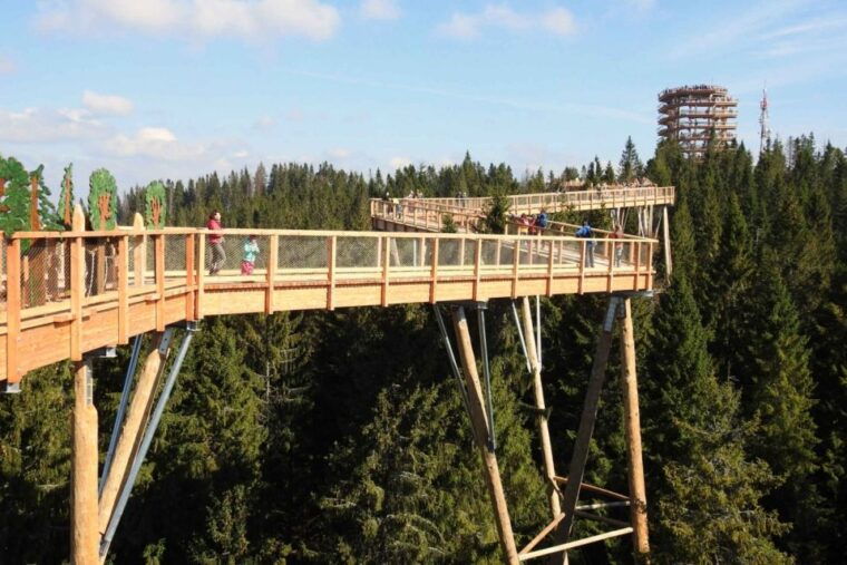 from-krakow-treetop-walk-zakopane-visit-small-group-tour