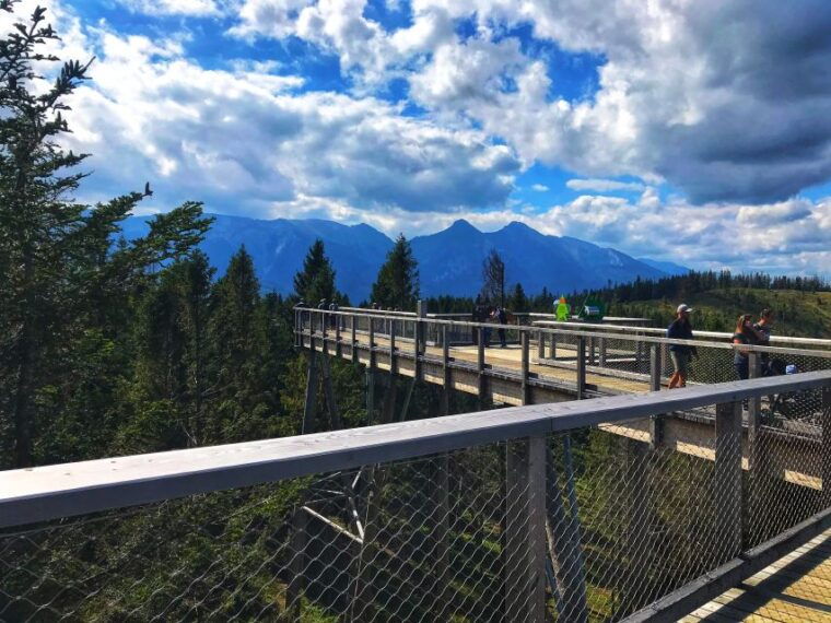from-krakow-treetop-walk-zakopane-visit-small-group-tour