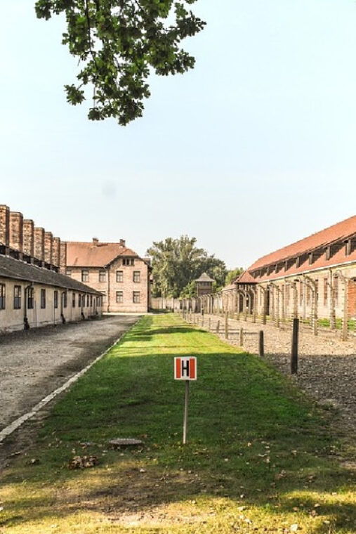 from-krakow-wieliczka-salt-mine-auschwitz-guided-trip