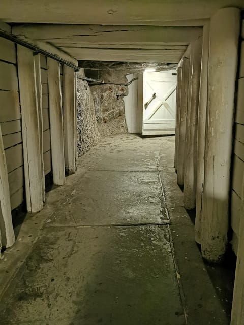 from-krakow-wieliczka-salt-mine-guided-tour-hotel-pick-up-3