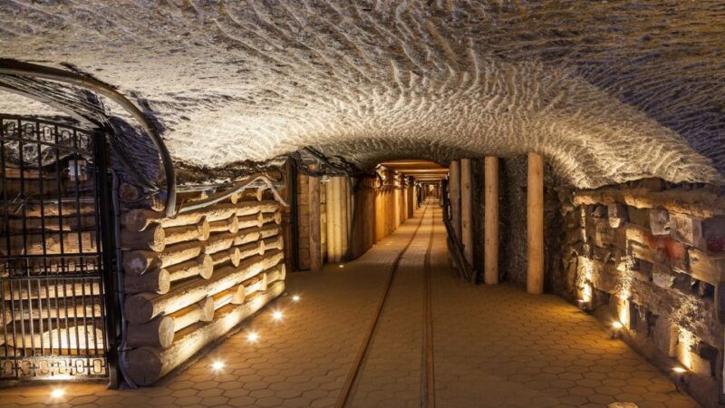 from-krakow-wieliczka-salt-mine-half-day-trip-with-pickup