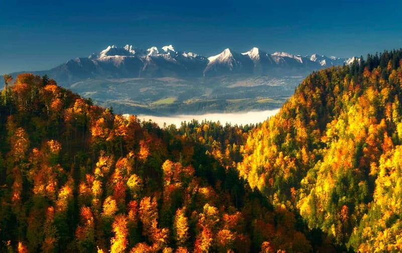 From Kraków: Witów Skiing and Zakopane Tour - From Kraków: Witów Skiing and Zakopane Tour