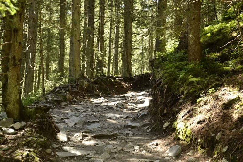 From Krakow: Zakopane and Tatra Mountains Full-Day Trip - Zakopane Town and Krupówki Street