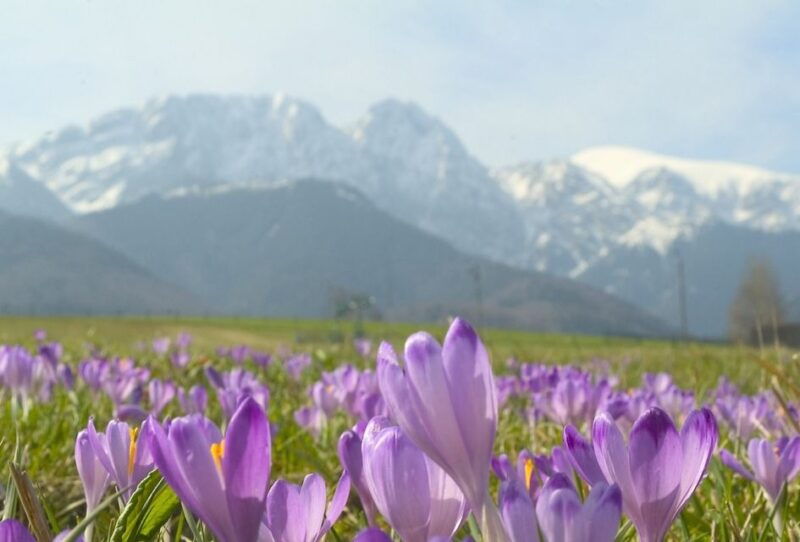 from-krakow-zakopane-and-tatras-mountains-full-day-tour