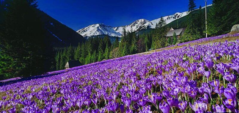 from-krakow-zakopane-and-tatras-mountains-full-day-tour