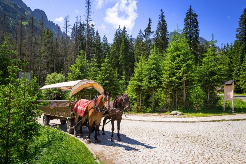 from-krakow-zakopane-and-the-tatra-mountains-private-tour