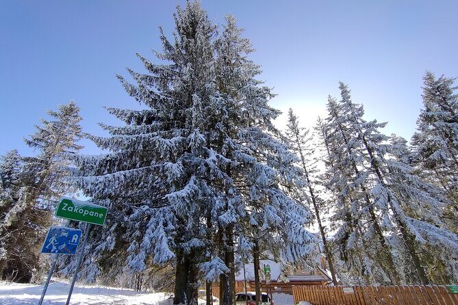 From Krakow: Zakopane & Chocholowskie Thermal Baths - The Experience: Zakopane & Chocholowskie Thermal Baths in Detail