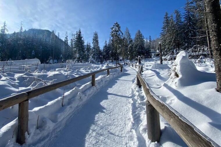 from-krakow-zakopane-day-trip-with-funicular-food-tasting