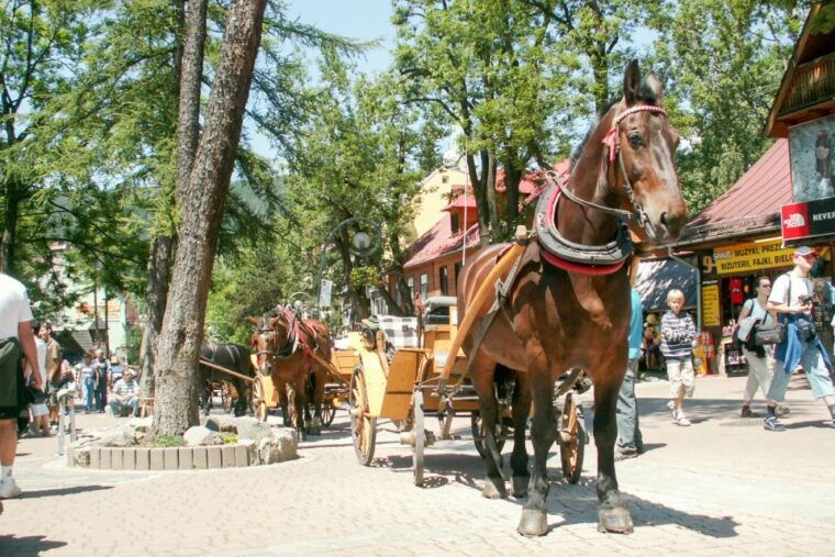 from-krakow-zakopane-tatra-mountains-tour