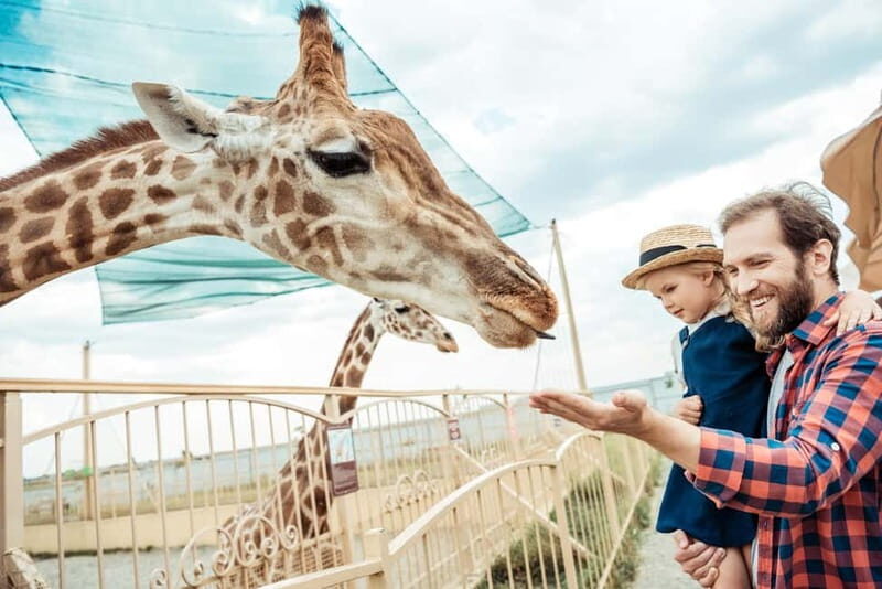 From Krakow: Zoo Trip with Private Luxury Transfer - Key Points