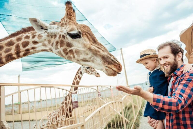 from-krakow-zoo-trip-with-transfer