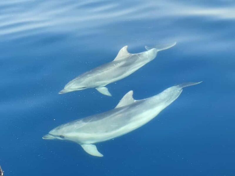 From Krk: Golden Beach Boat Trip - The Itinerary and What to Expect