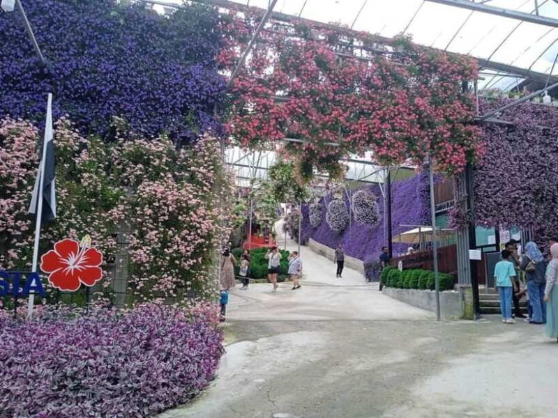 From Kuala Lumpur: Cameron Highlands Private or Join In Tour - Authentic Experiences and Tips from Travelers