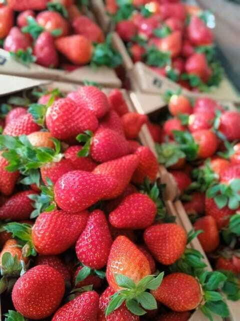 From Kuala Lumpur: Cameron Highlands Private or Join In Tour - Who Will Love This Tour?