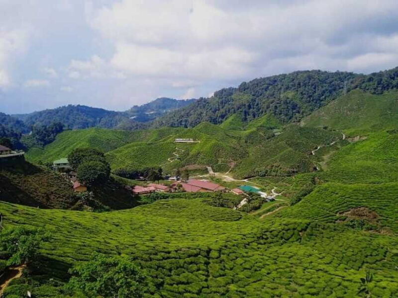 From Kuala Lumpur: Cameron Highlands Private or Join In Tour - FAQs