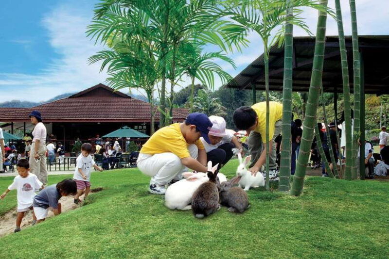from-kuala-lumpur-colmar-tropicale-and-batu-caves-day-trip