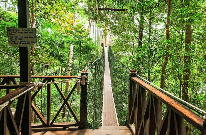 from-kuala-lumpur-full-day-taman-negara-national-park