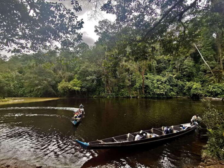 from-kuala-lumpur-full-day-tour-to-taman-negara