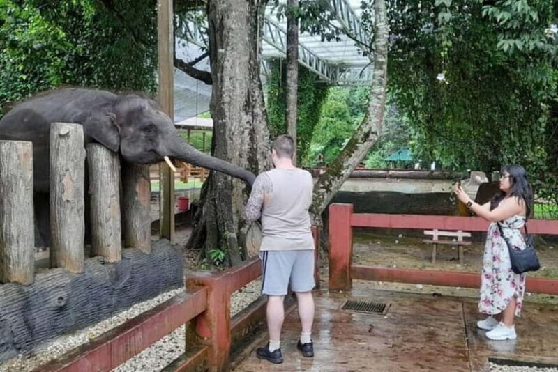 From Kuala Lumpur: Kuala Gandah & Batu Caves Day Trip - An Overview of the Kuala Gandah & Batu Caves Day Trip